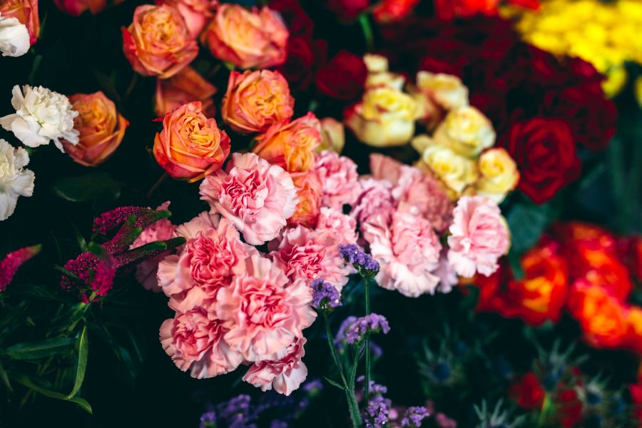 Blumen